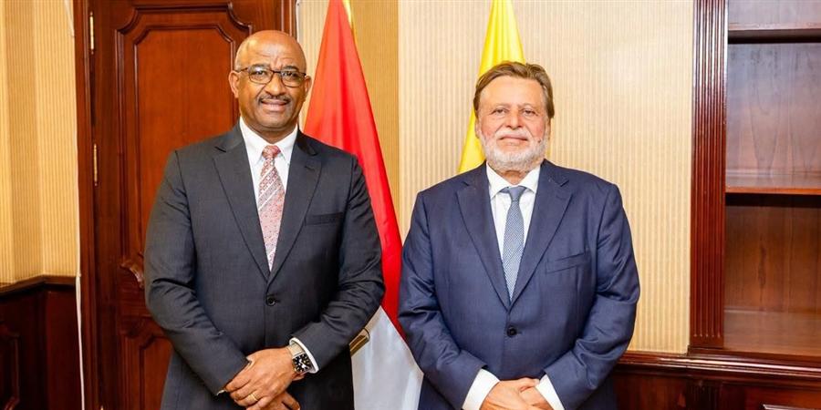 محافظ البنك المركزي يبحث مع نظيره في إسواتيني تبادل الخبرات المصرفية